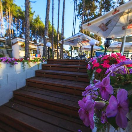 Hotel Dream View Bjała Zewnętrze zdjęcie
